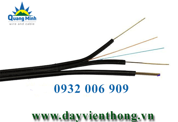 cap quang treo 2FO single mode